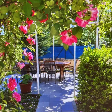 Apartment Rajic