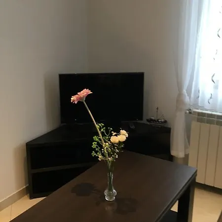 Rajic